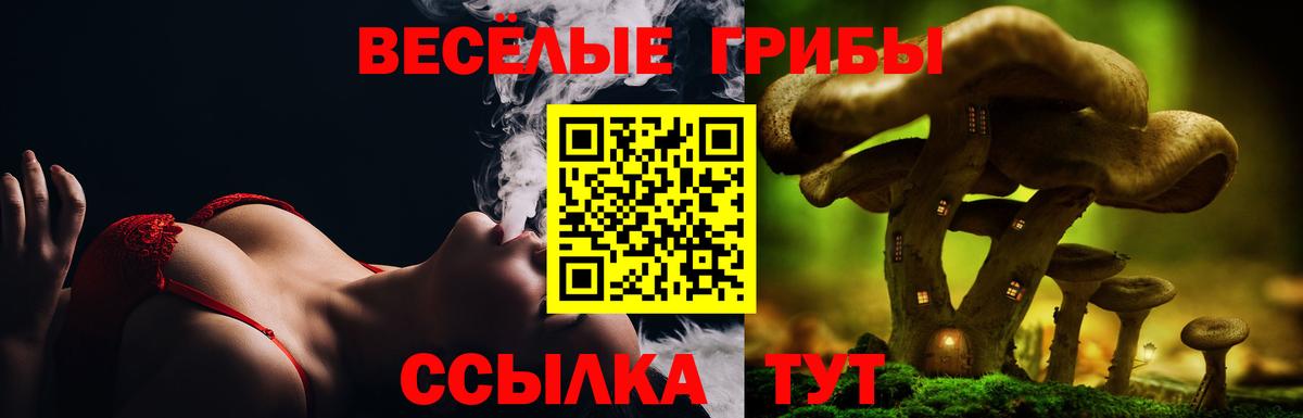 Горячий Ключ  где купить   Вход с VPN  Псилоцибиновые грибы мухоморы 